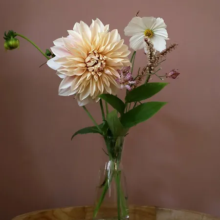 Bed & Breakfast Bij Joseph