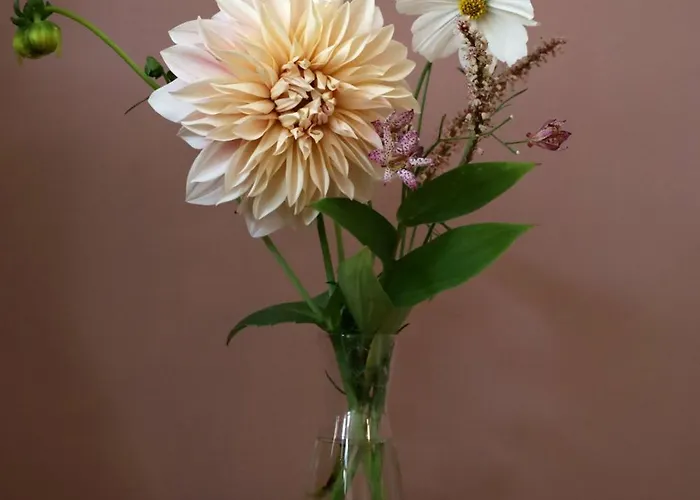 Bed & Breakfast Bij Joseph